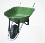 Plants: image 1 0f 4 thumb
