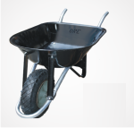 Plants: image 1 0f 4 thumb