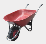Plants: Producto 1 0f 4 thumb
